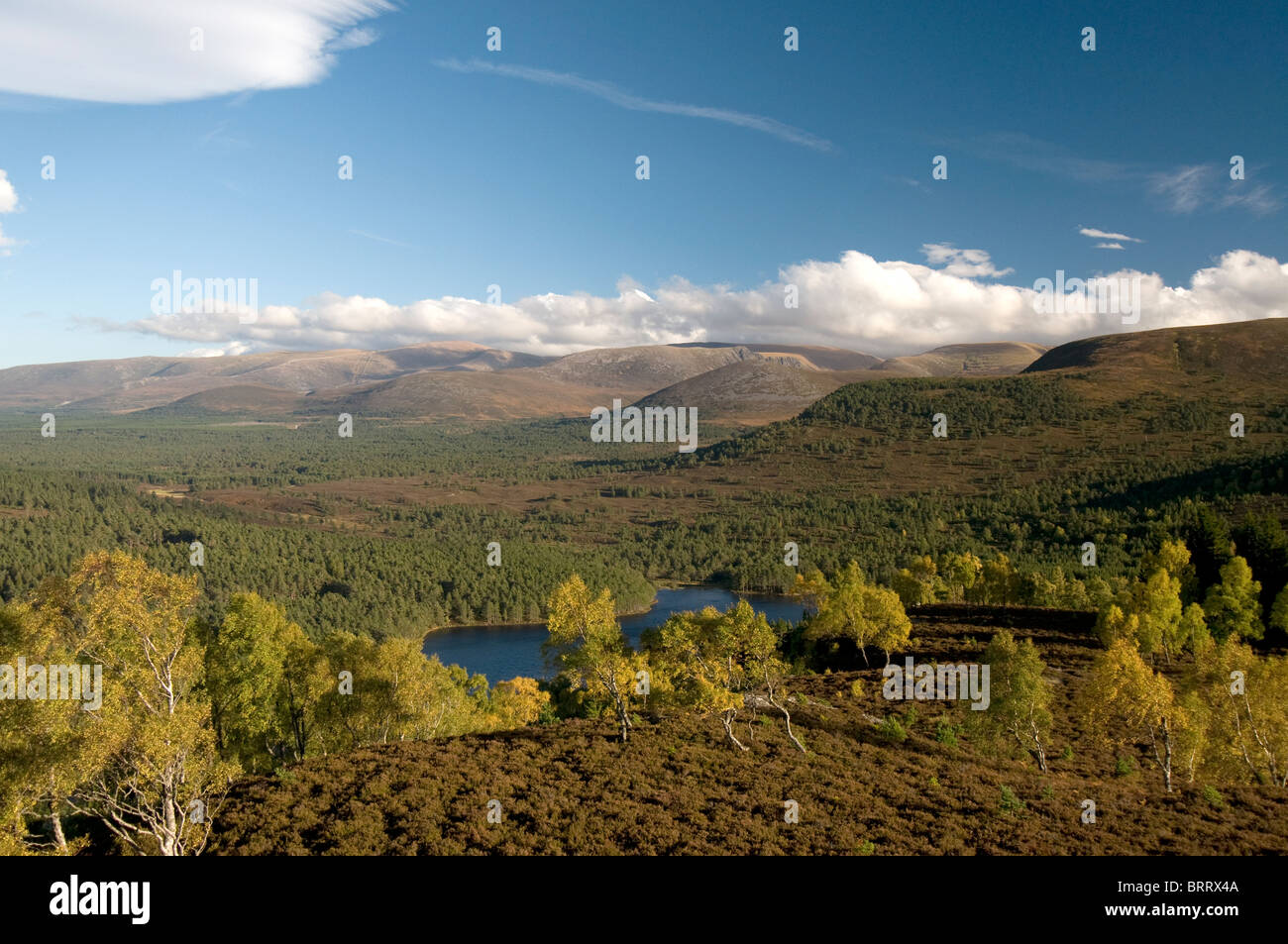 Les montagnes de Cairngorm de Ord Ban hill, Rothiemurchus, Aviemore, région des Highlands, en Écosse. 6826 SCO Banque D'Images