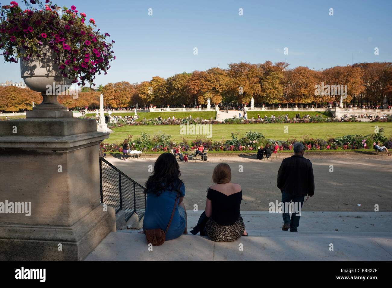 Paris, France, les gens dans les jardins du Luxembourg, Parc de la ville, jardin du Luxembourg, jardin urbain automne et paris Banque D'Images
