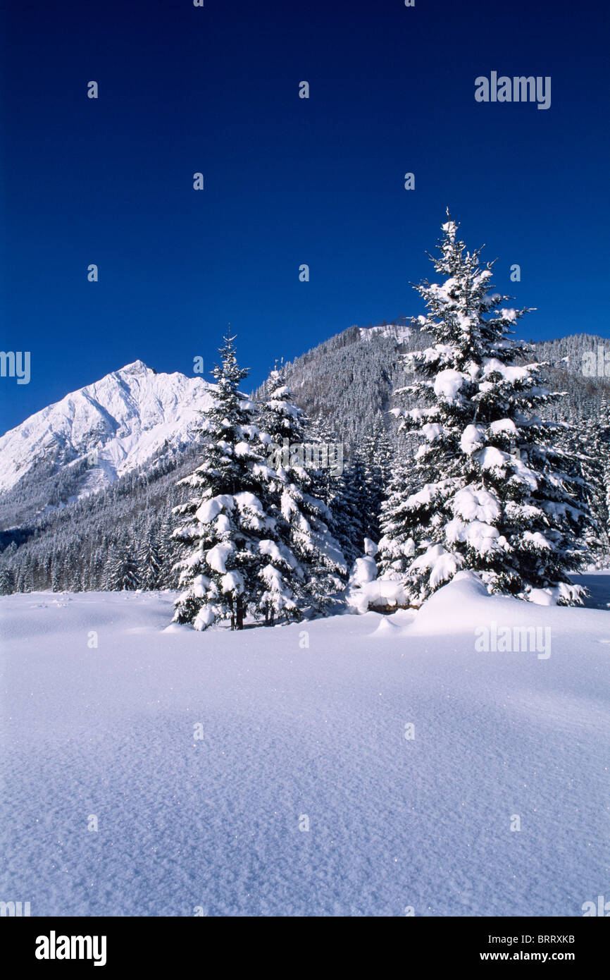 Au cours de l'hiver, mont Sonnjoch gamme Karwendel, Tyrol du Nord, l'Autriche, l'Europe ***Restrictions : Usages : Toute publicité utiliser  + Banque D'Images