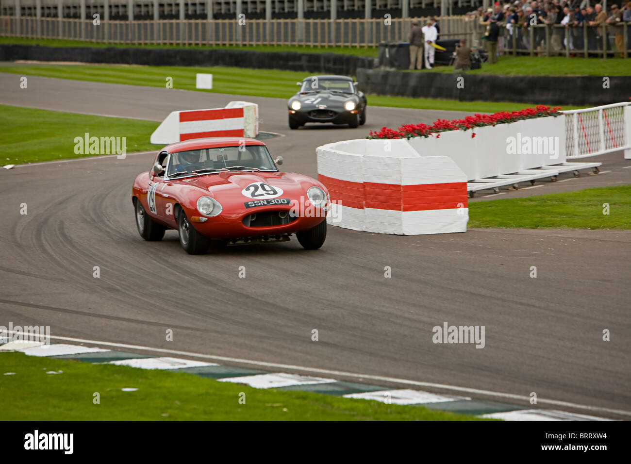 E Type Jaguar Racing à Goodwood Revival 2010 Banque D'Images