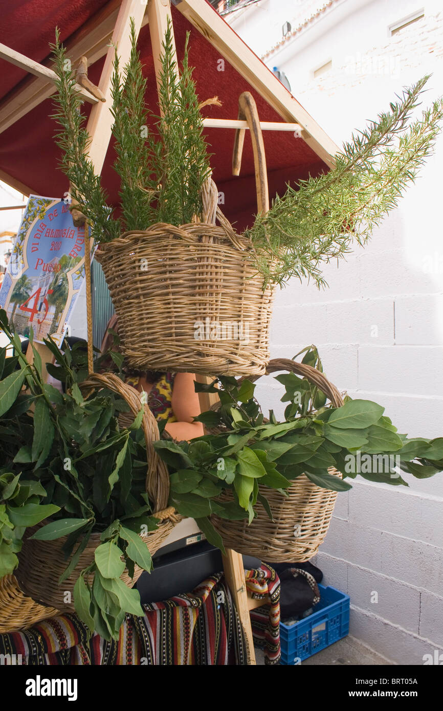 Les paniers en osier de feuilles de laurier et le thym en vente à la fête de l'amande, Almogia village, province de Malaga, Malaga, Espagne. Banque D'Images