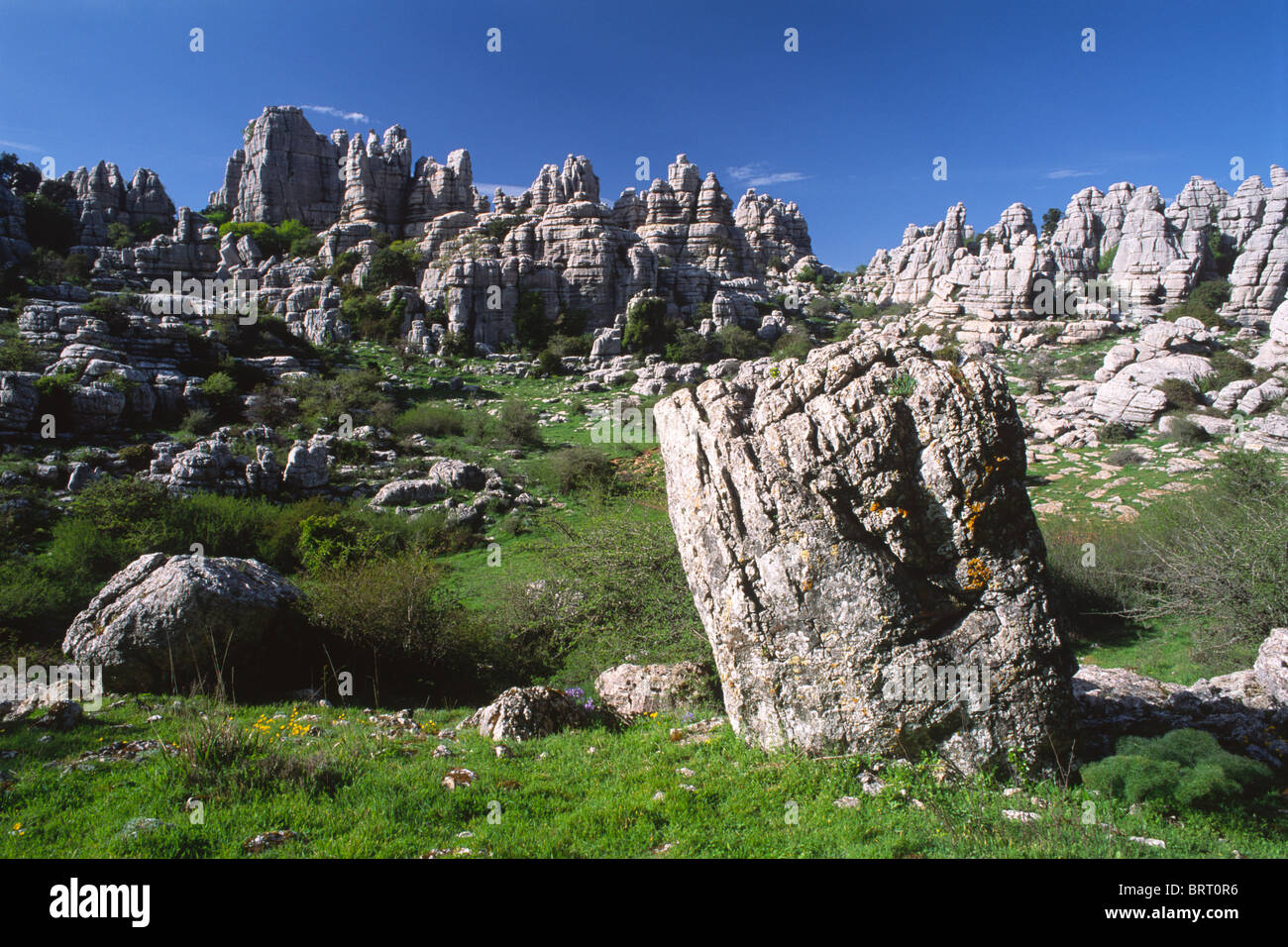 Le Parc Naturel Torcal de Antequera, la province de Malaga, Andalousie, Espagne, Europe Banque D'Images