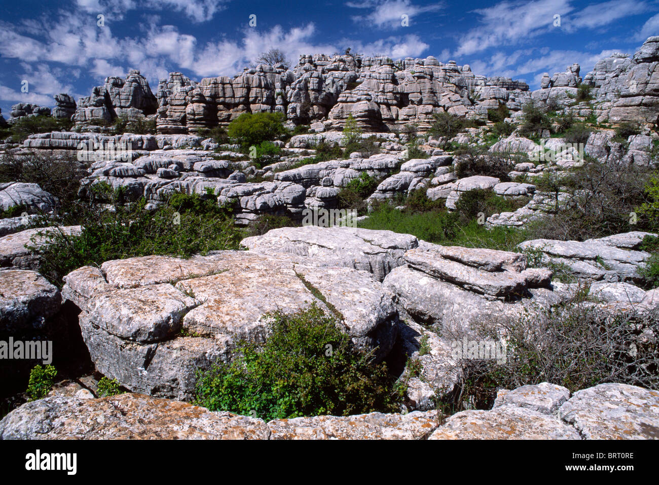 Le Parc Naturel Torcal de Antequera, la province de Malaga, Andalousie, Espagne, Europe Banque D'Images