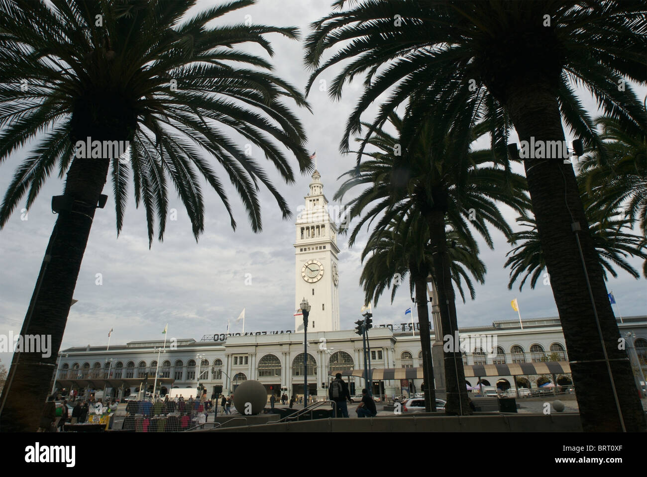 San Fransisco Ferry Building vu entre les palmiers. Banque D'Images