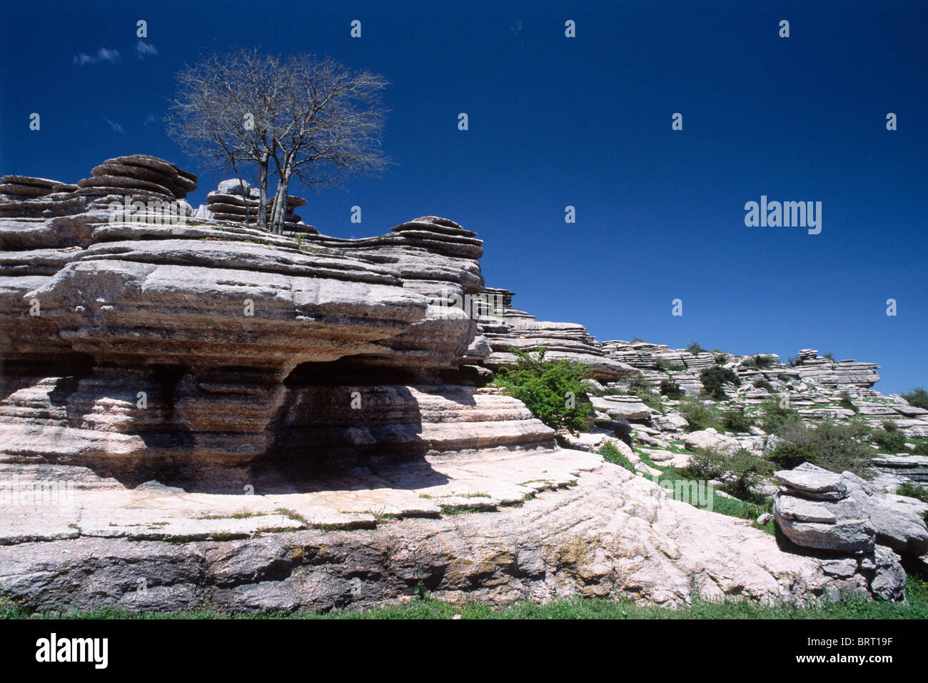 Le Parc Naturel Torcal de Antequera, la province de Malaga, Andalousie, Espagne, Europe Banque D'Images