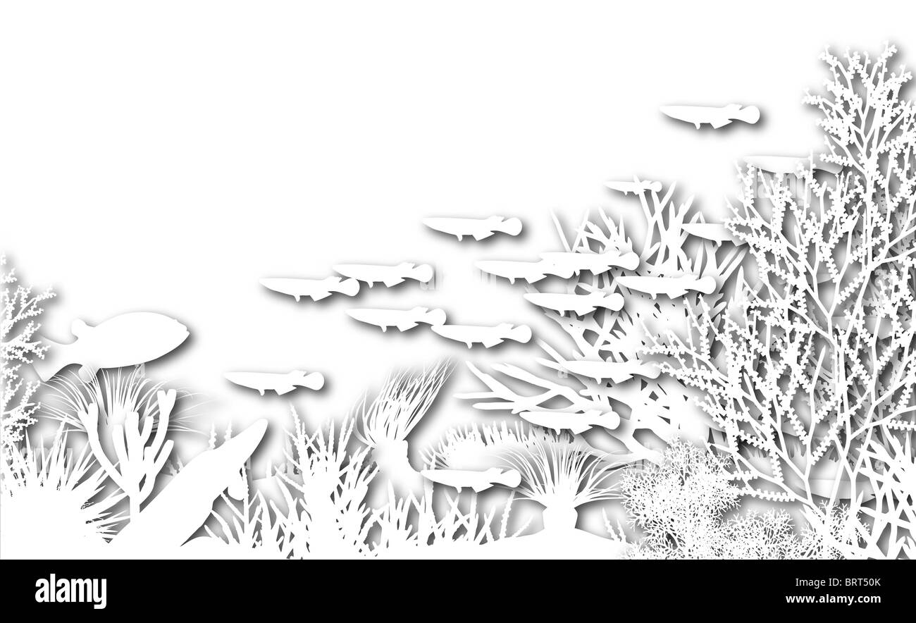 Illustration de la découpe du poisson blanc corail et silhouettes Banque D'Images