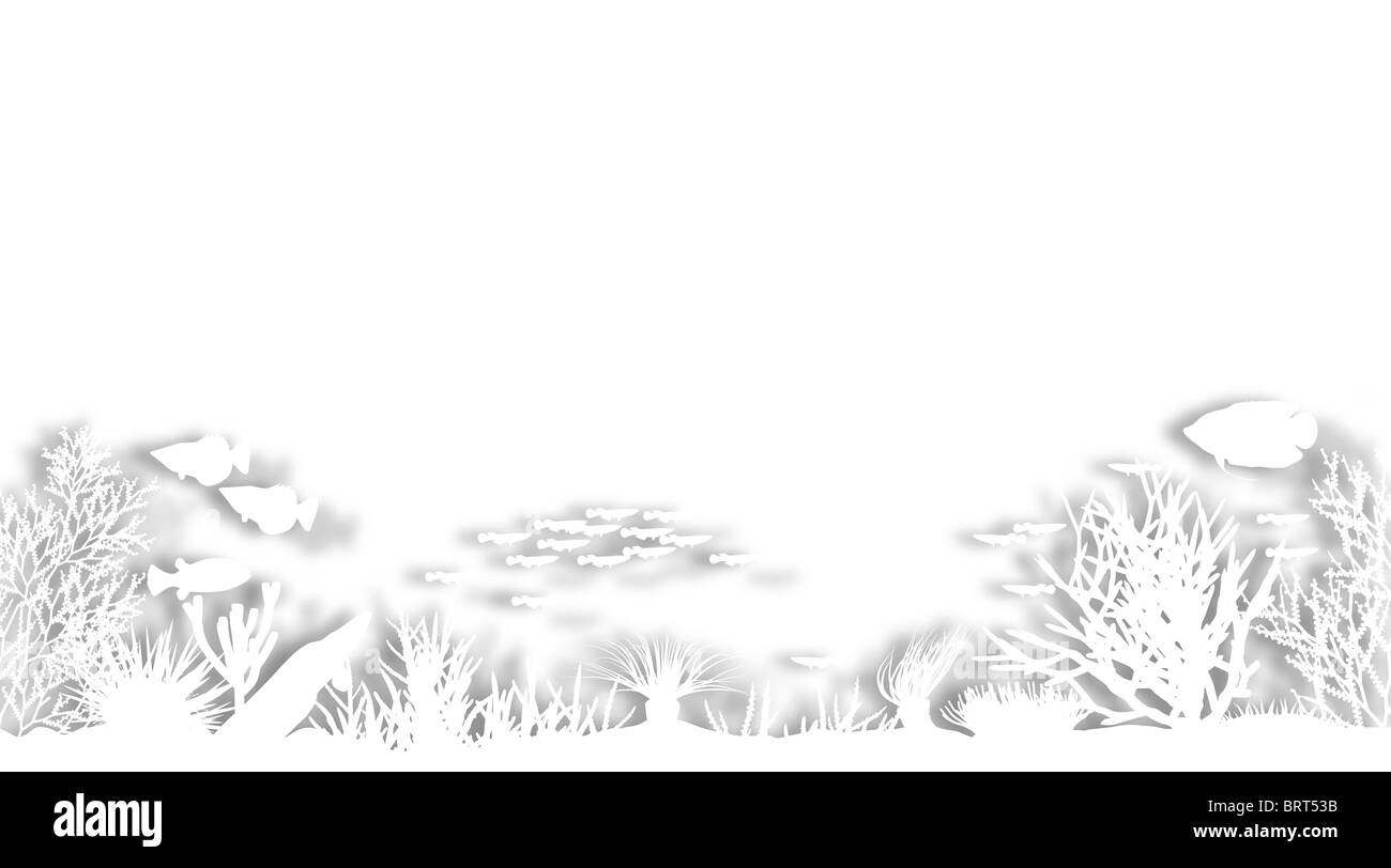 L'illustre premier plan de découpe des silhouettes de corail mer blanc Banque D'Images