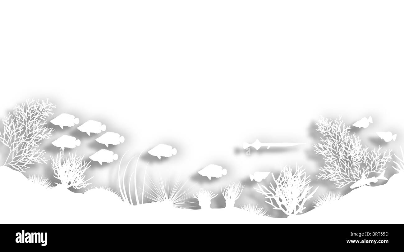 Illustration d'une découpe silhouette blanche sea Coral avant-plan Banque D'Images