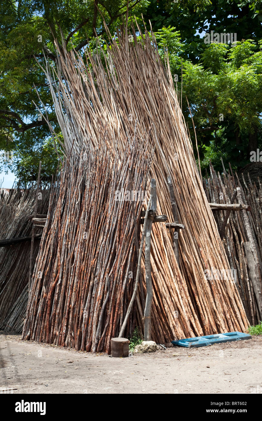 Zanzibar, Tanzanie. Poteaux mangroves pour la vente. Utilisé pour l'échafaudage ou d'autres travaux de construction. Banque D'Images