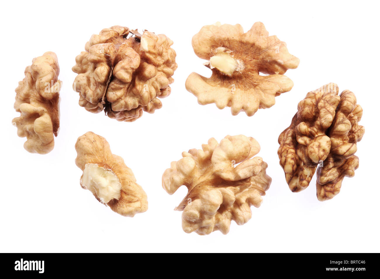 Les cerneaux de noix isolé sur un fond blanc. Banque D'Images