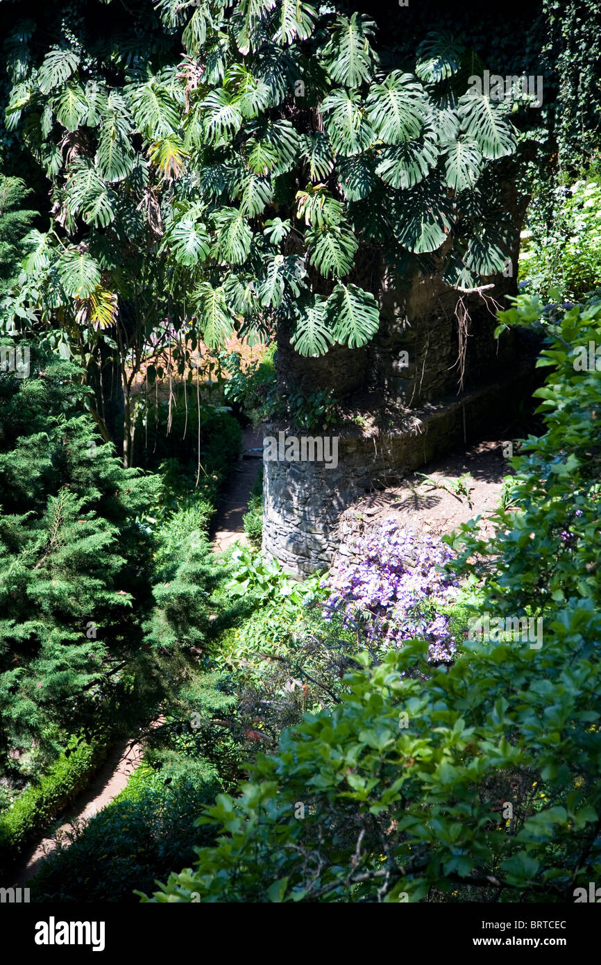 Monte jardins municipaux - Monte - Madeira Banque D'Images