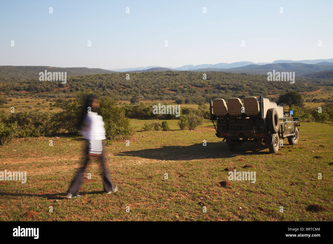 Femme marche à safari jeep, Addo Elephant Park, Eastern Cape, Afrique du Sud Banque D'Images