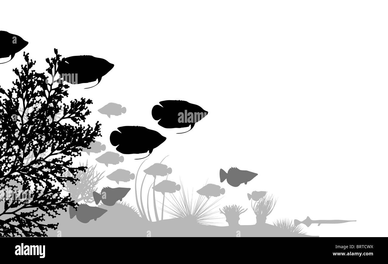 Illustration de poisson et les silhouettes Banque D'Images
