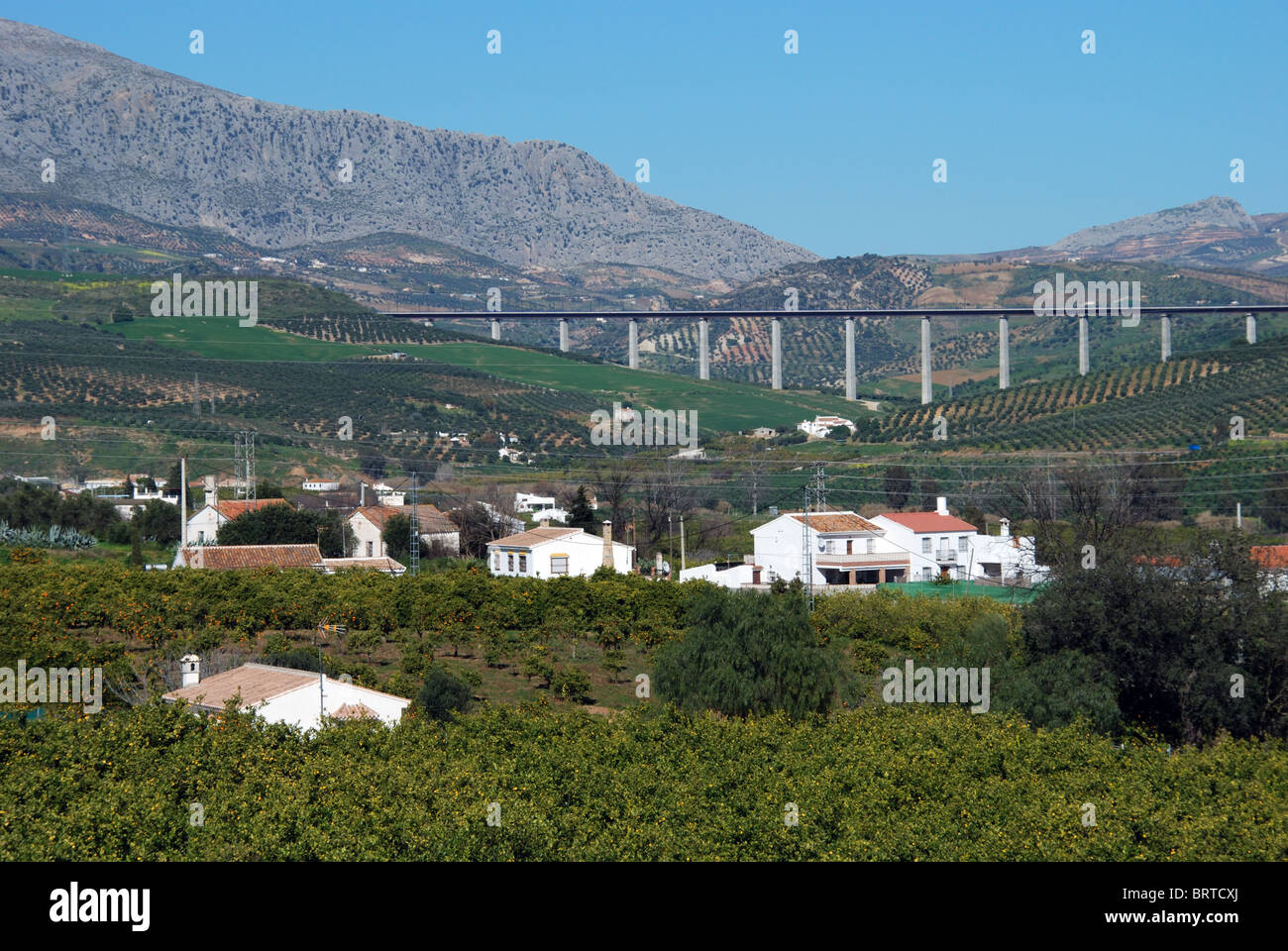 Pays fincas et orangers, près de Alora, la province de Malaga, Andalousie, Espagne, Europe de l'Ouest. Banque D'Images