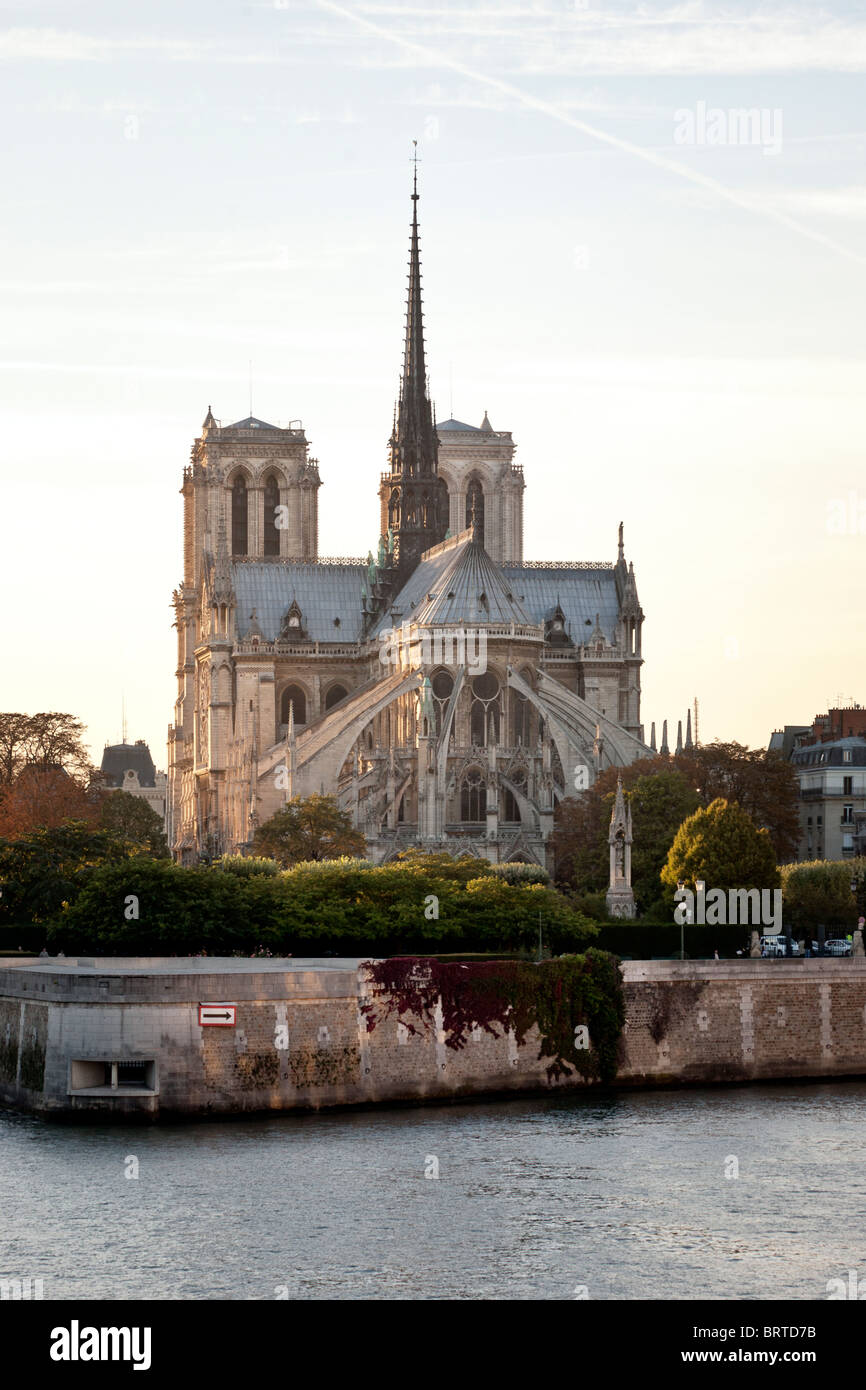Vue de Notre Dame de Paris cathédrale avec ses pierres roses délicates et remplages gothique éclairée par la lumière de l'après-midi d'automne à Paris Banque D'Images