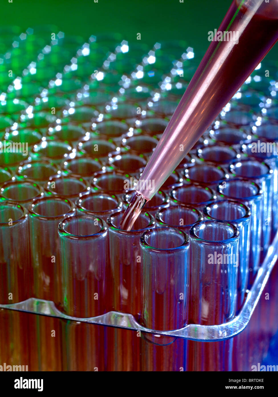 Tubes à essai de laboratoire d'être rempli par seringue Banque D'Images Tubes à essai de laboratoire d'être rempli par seringue Banque D'Images