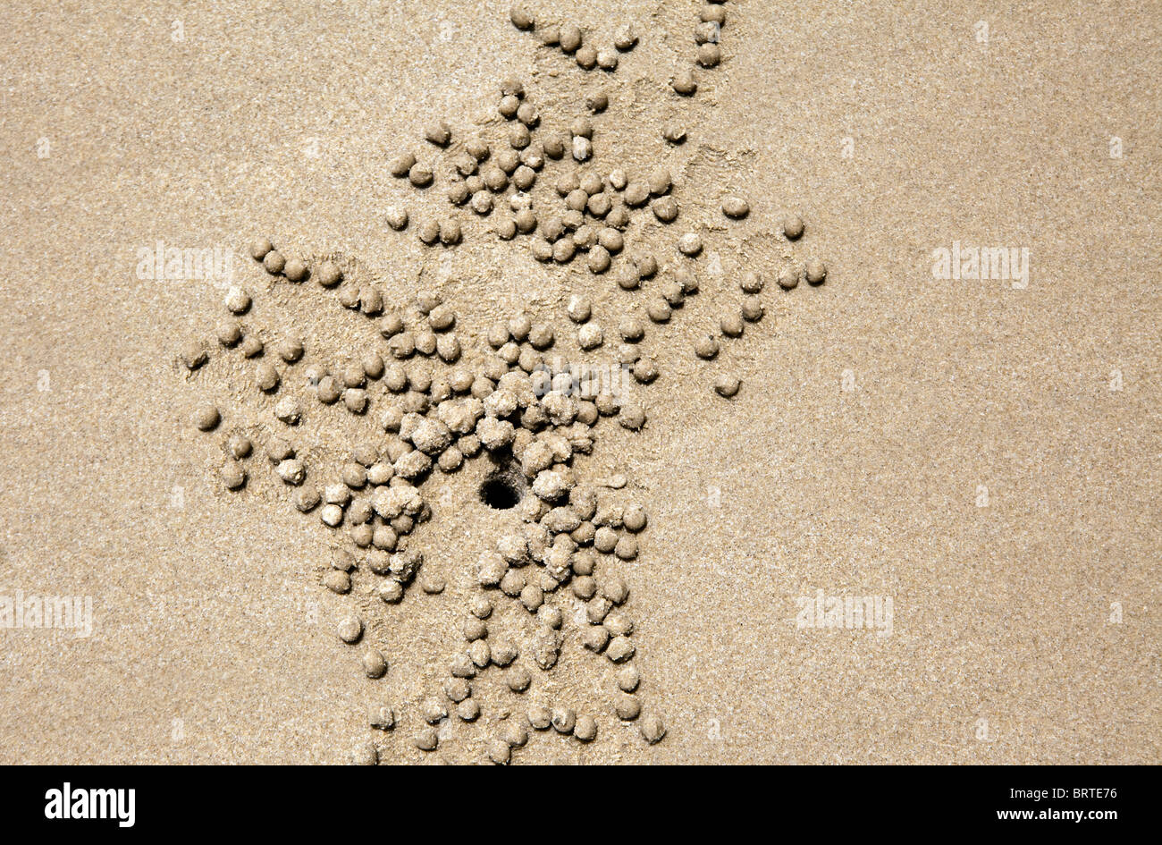 Trous de crabe sont vus dans le sable d'une plage dans la région de Bornéo, Malaisie Banque D'Images