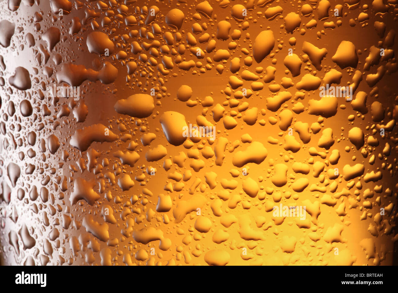 Gros plan de verre de bière glacée. Banque D'Images