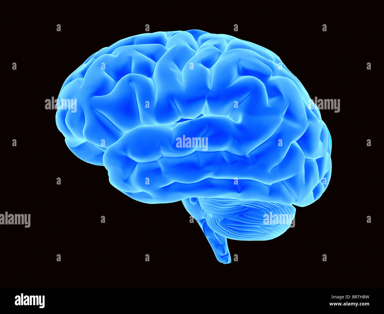 Cerveau bleu sur fond noir. Banque D'Images