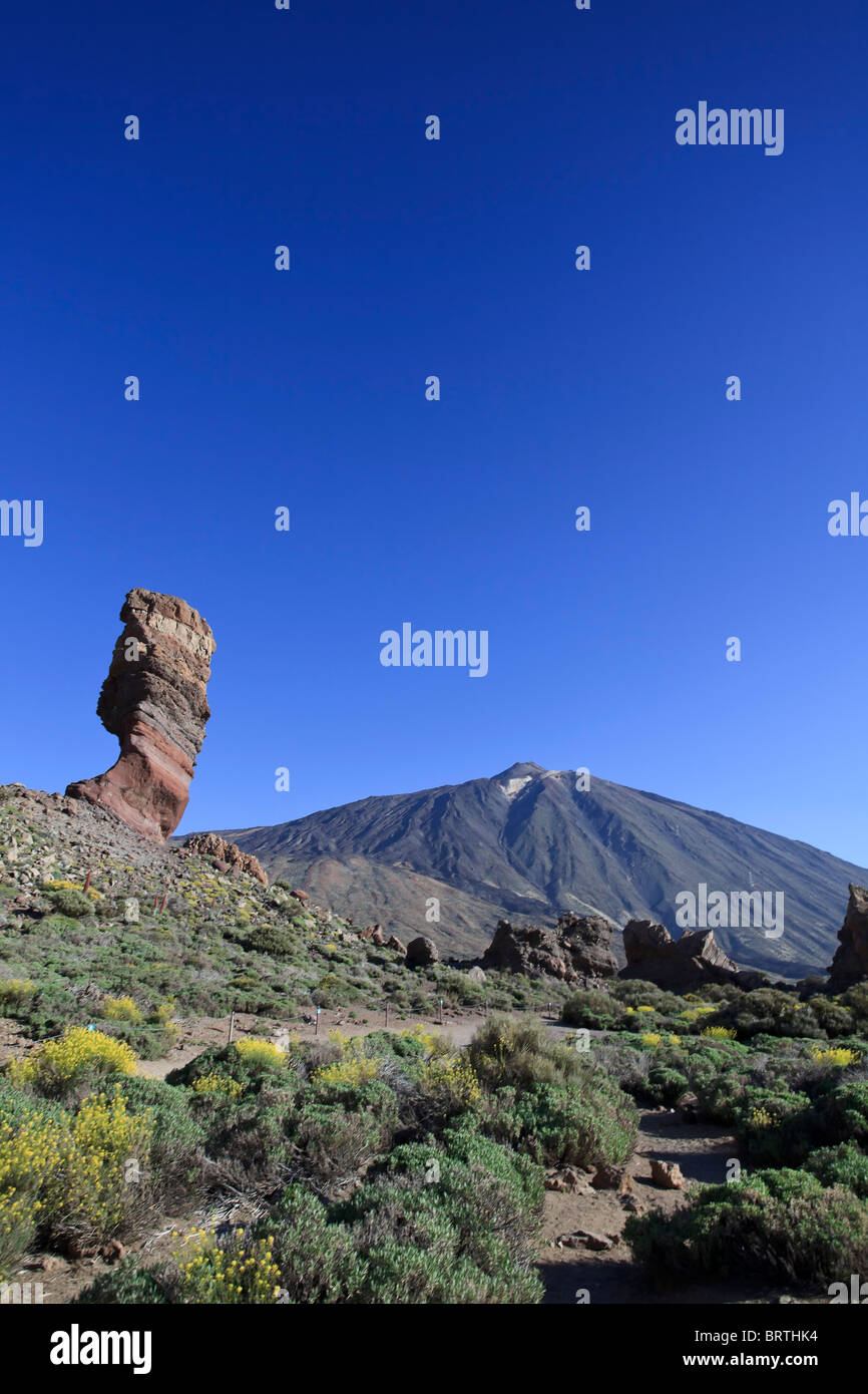 Iles Canaries, Tenerife, Parque Nacional del Teide (Parc National de Teide), site de l'UNESCO, Mt. Teide et Chinchado Rock Banque D'Images