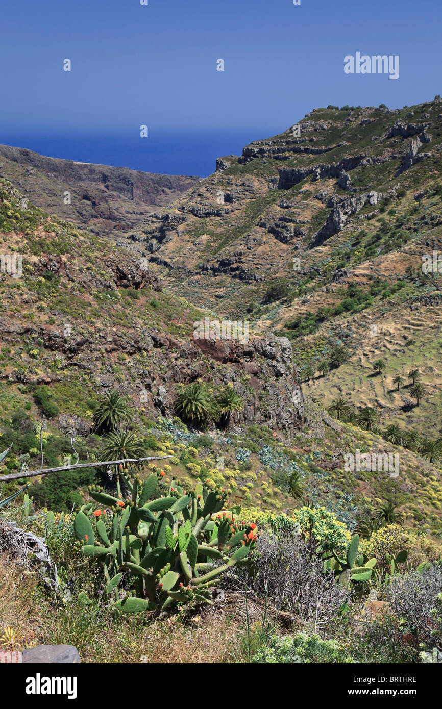 Canaries, La Gomera, Côte Sud Banque D'Images