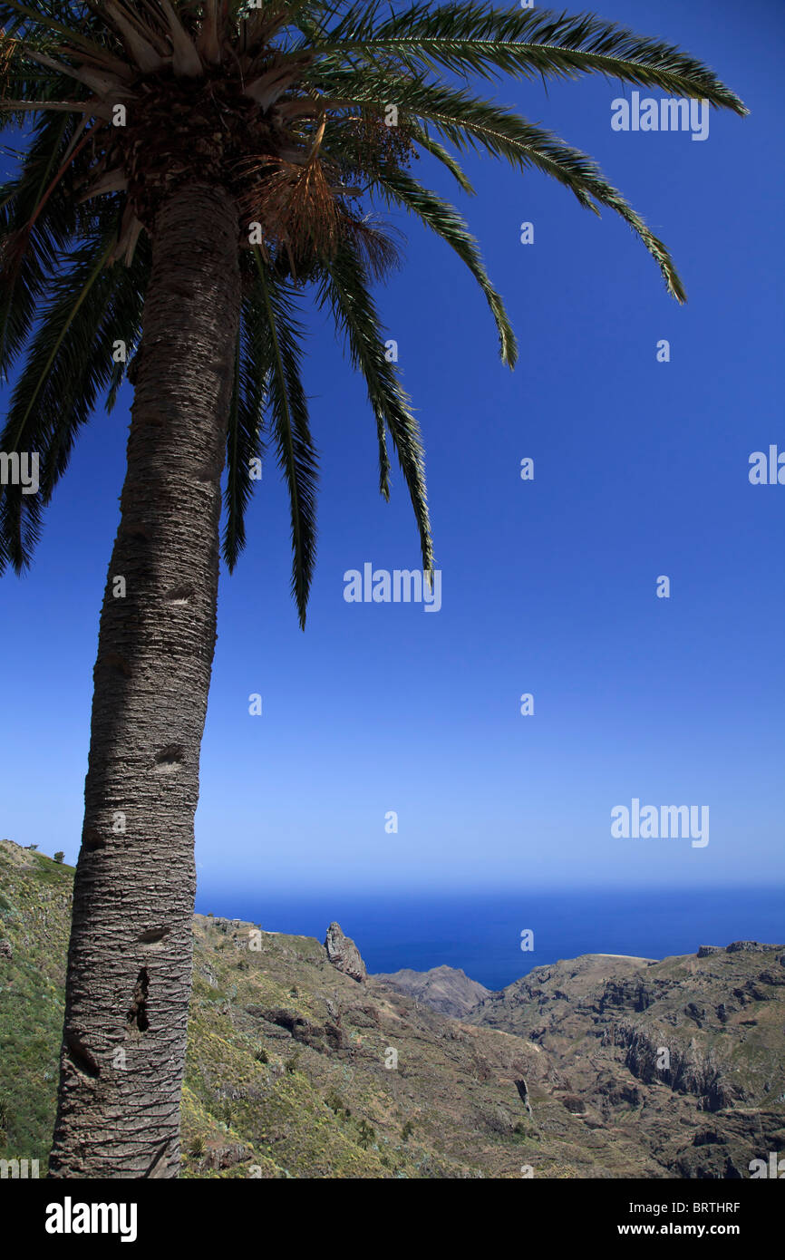 Canaries, La Gomera, Côte Sud Banque D'Images