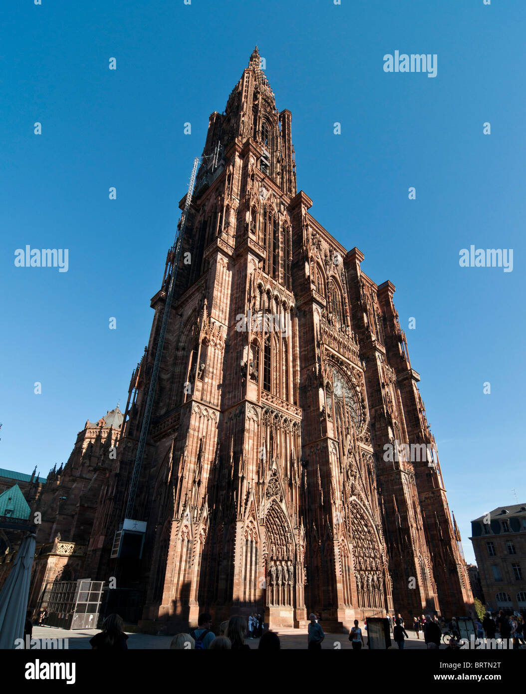 La Cathédrale Notre Dame de Strasbourg en France, l'Alsace. Banque D'Images