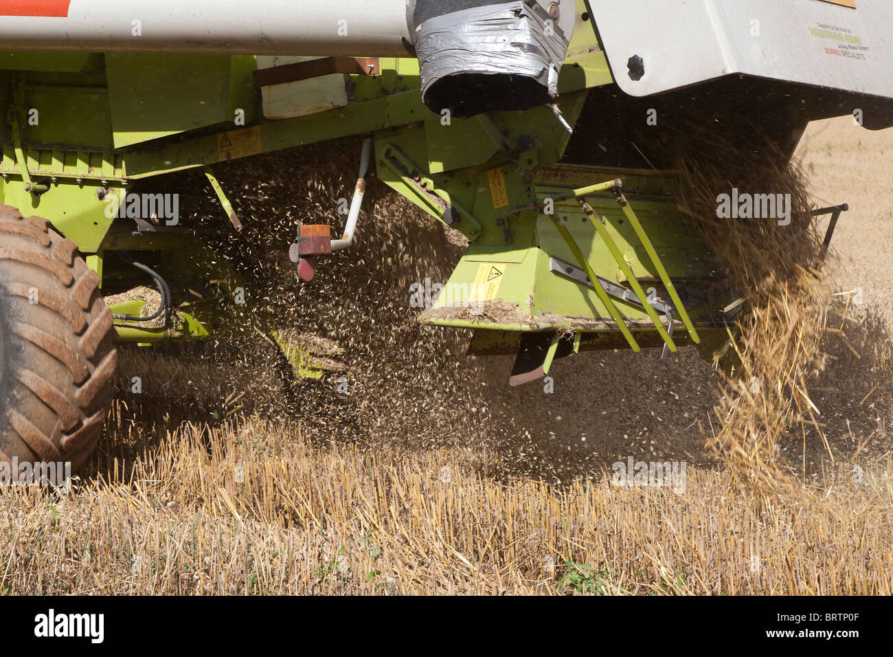 Moissonneuse batteuse récolte de l'AVOINE ENGLAND UK Banque D'Images