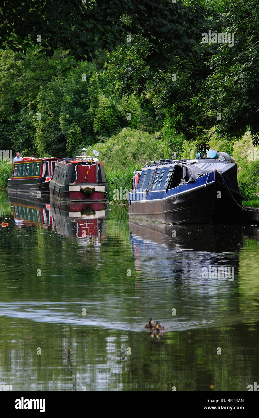 Quelques bateaux amarrés étroit sur le Kennet and Avon Canal à Bradford-on-Avon, Wiltshire, Royaume-Uni Banque D'Images