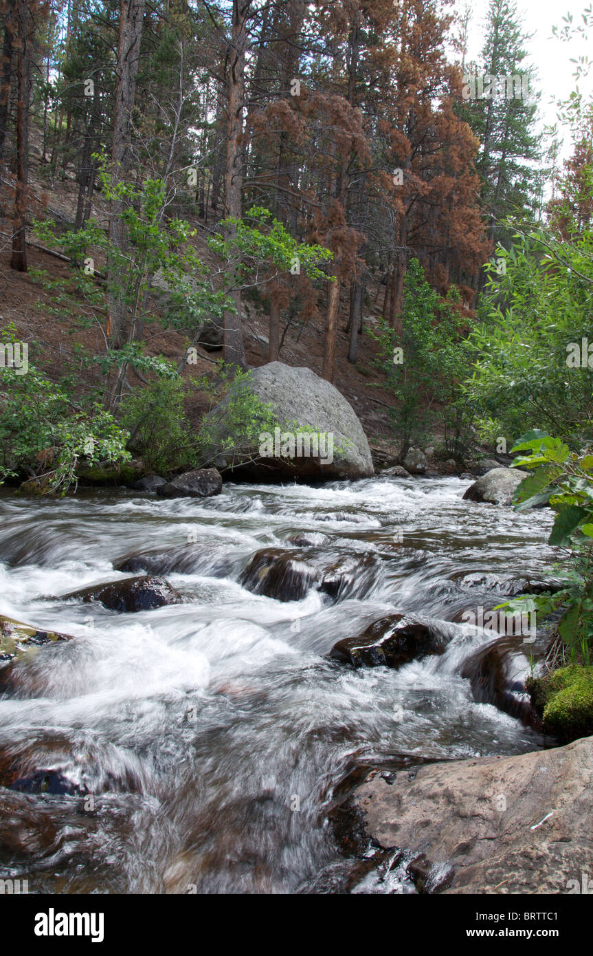 De l'eau rapide, Big Thompson River, Estes Park, Rocky Mountains, Colorado Banque D'Images