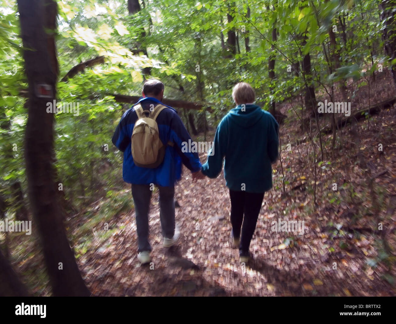 Partenaires lors d'une promenade en forêt Banque D'Images