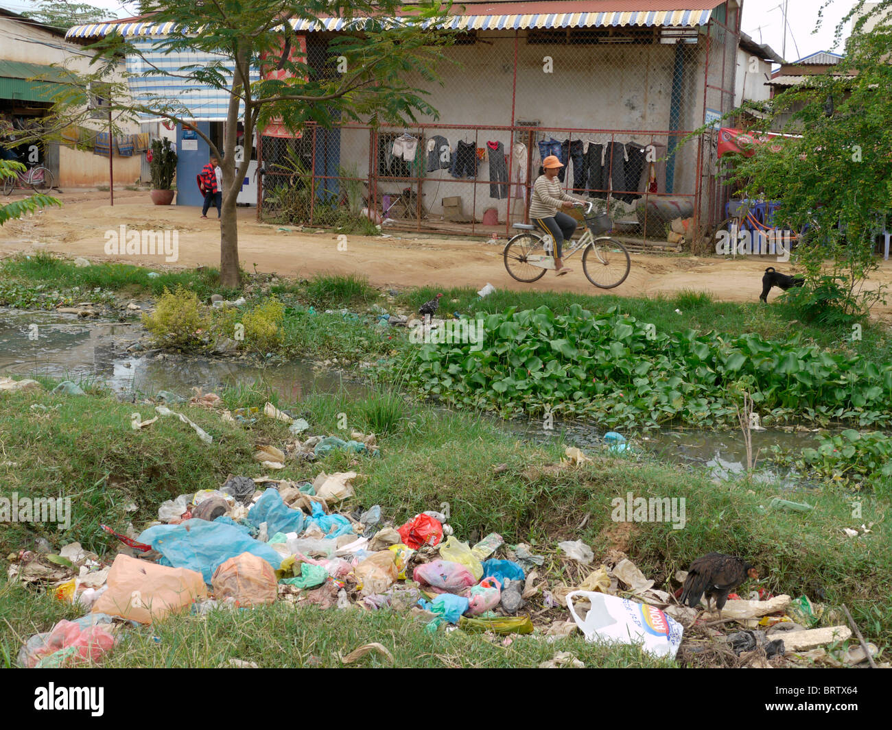 Cambodge Le règlement de l'assainissement des taudis, Sok San ...