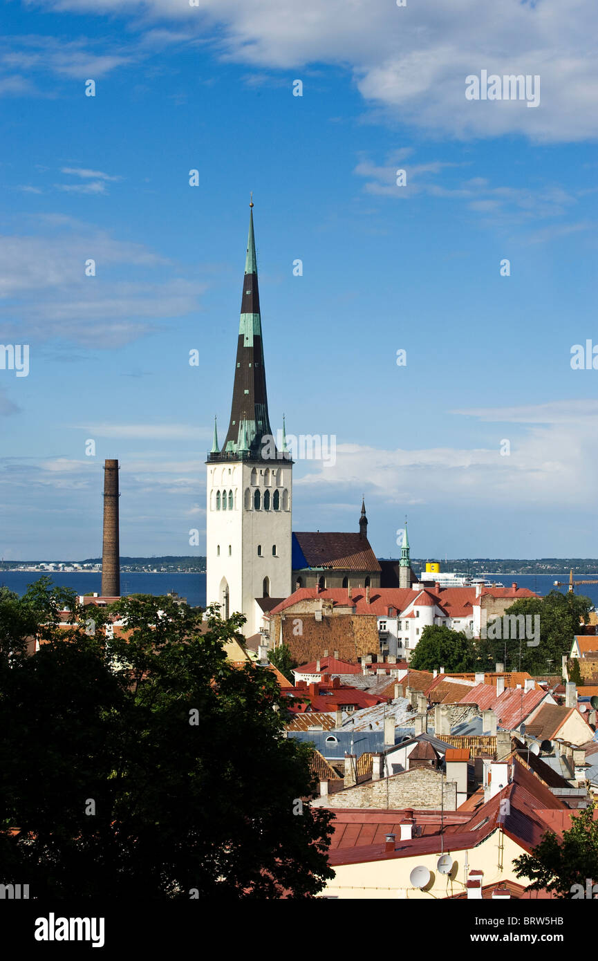 Cathédrale d'OLEV, Tallinn, Estonie, Pays Baltes Banque D'Images