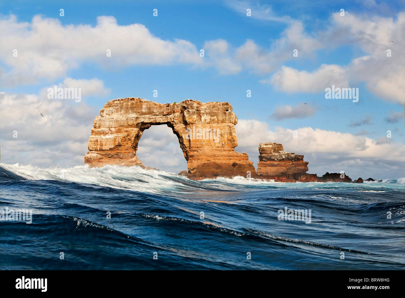 Rock gate, monument naturel, l'île de Darwin, l'archipel des Galapagos, UNESCO World Heritage Site, Equateur, Amérique du Sud, Pacifique Banque D'Images