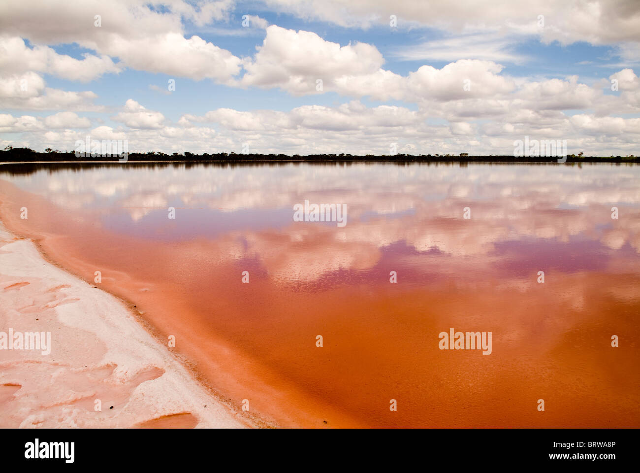 La remarquable salt lake, Lac Rose, non loin de Dimboola, Australie. Banque D'Images