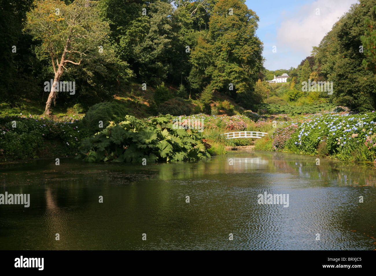 Trebah Gardens, Cornwall, England, UK Banque D'Images