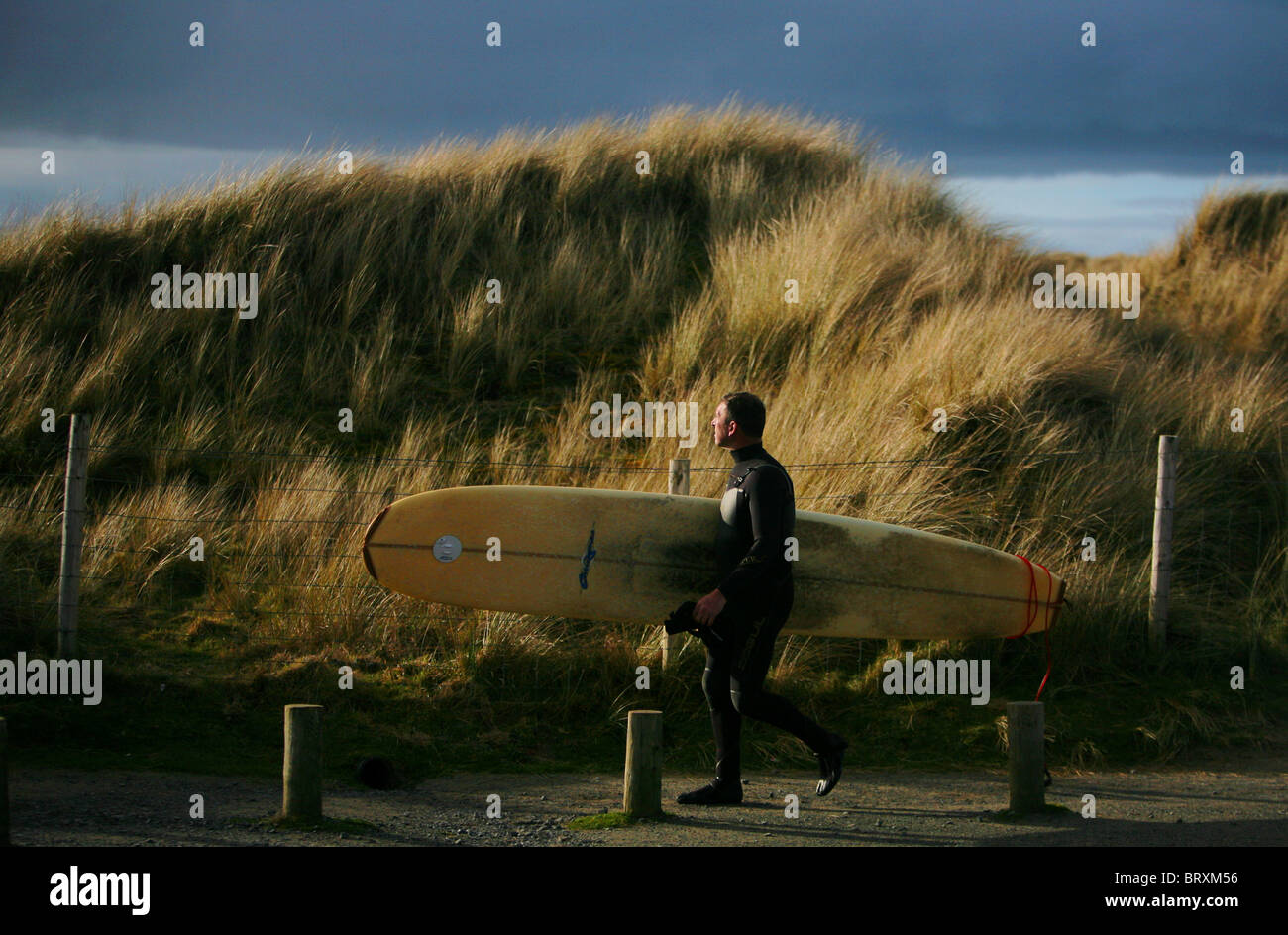 Surfer à Gwithian beach, Cornwall, England, UK. Banque D'Images