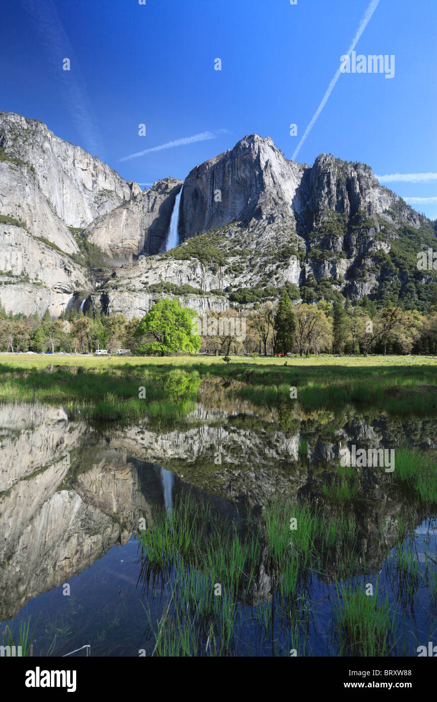 Reflet de Yosemite Falls dans une prairie au printemps Banque D'Images