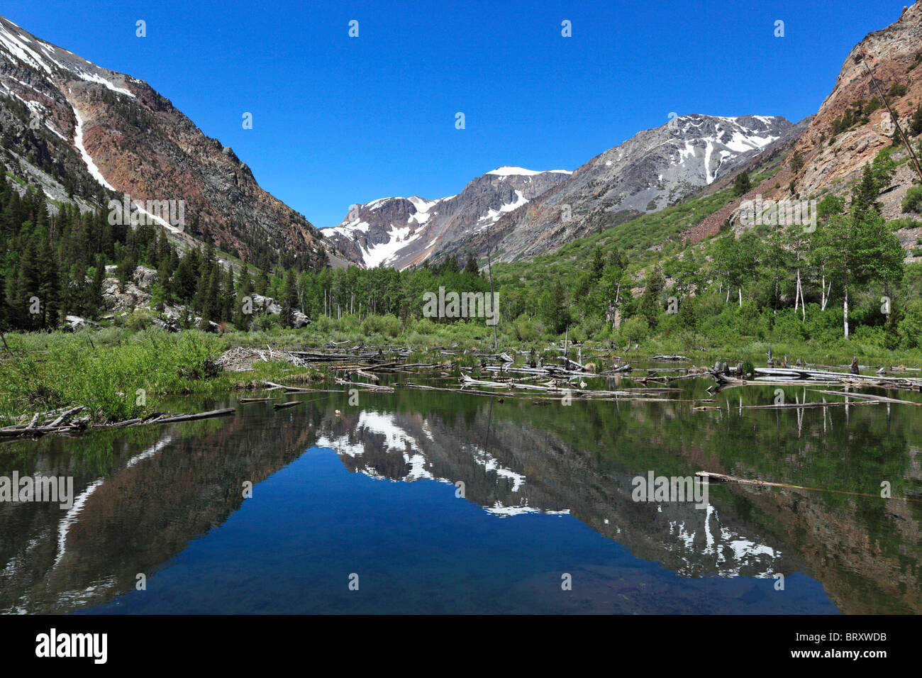Vue d'été de Lundy Lake dans les montagnes de la Sierra Nevada de Californie Banque D'Images