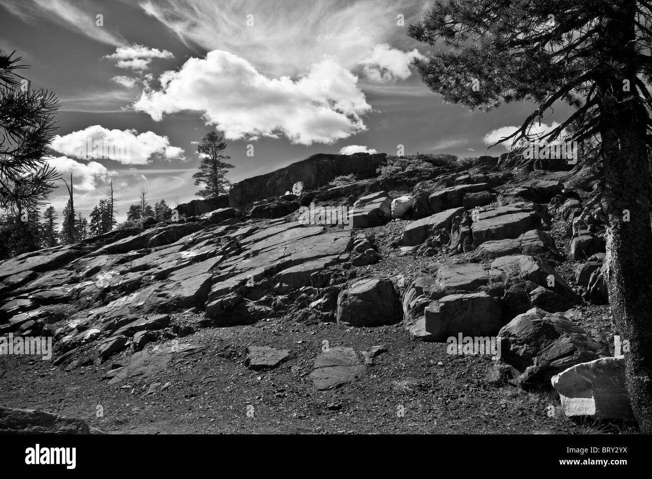 Un dôme de roche qui a été poli par l'action des glaciers dans les montagnes de la Sierra Nevada à environ 7000 pieds de l'altitude Banque D'Images