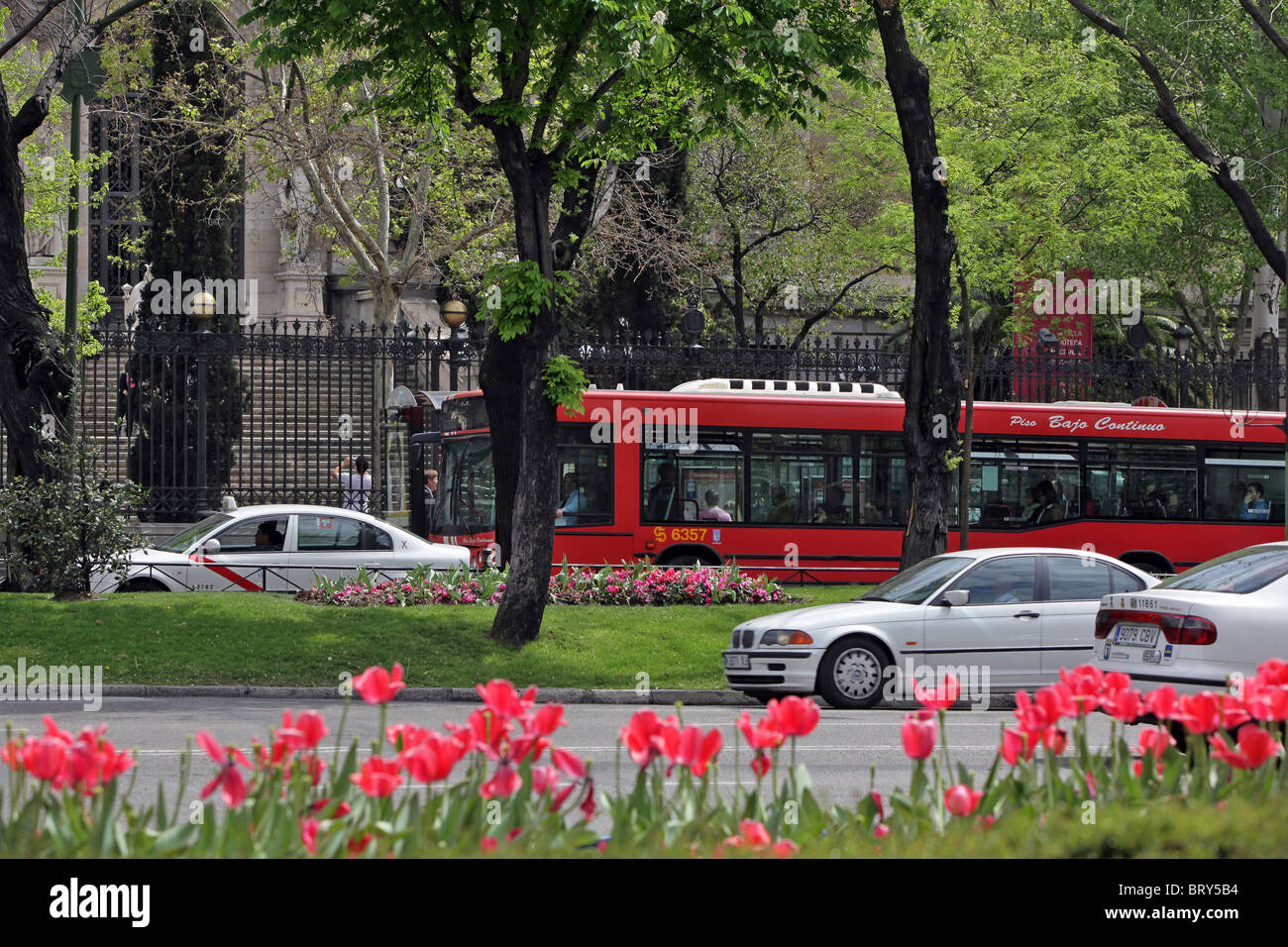 Et LE TRAFIC SUR LE BUS ROUTES CÔTÉ FLORAISON, Paseo de Recoletos, MADRID, ESPAGNE Banque D'Images