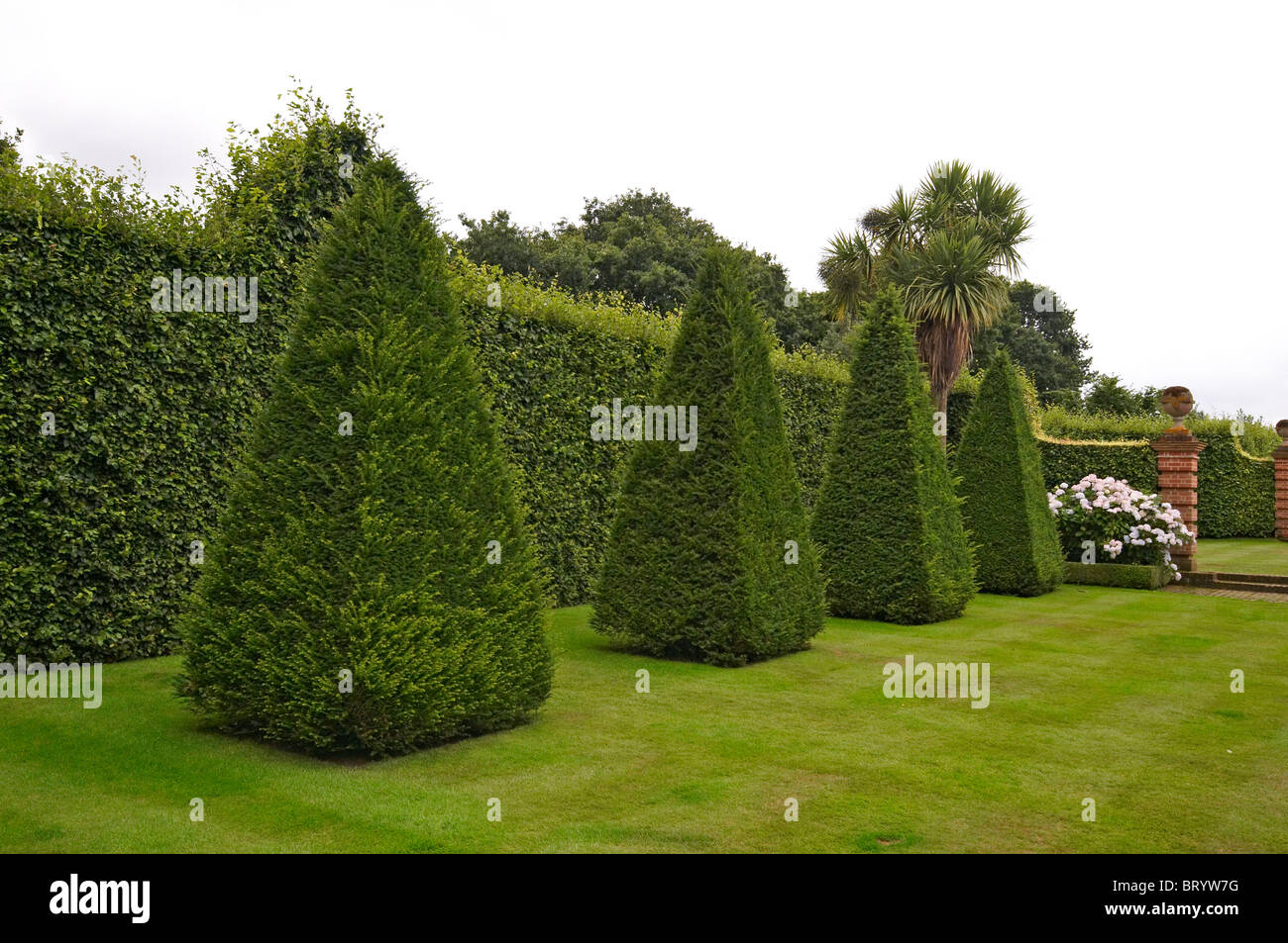 Un jardin anglais avec des cônes de topiaires Banque D'Images