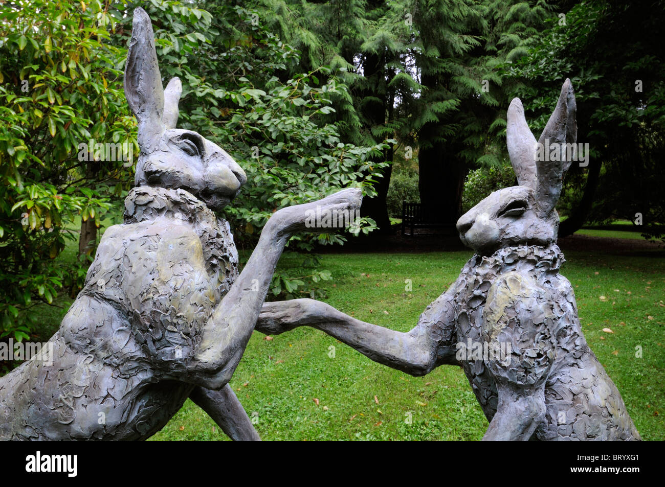 Lièvre lièvres Lepus europaeus paire deux combats de boxe lutte fort peuplement permanent art sculpture pendant la saison des amours Banque D'Images