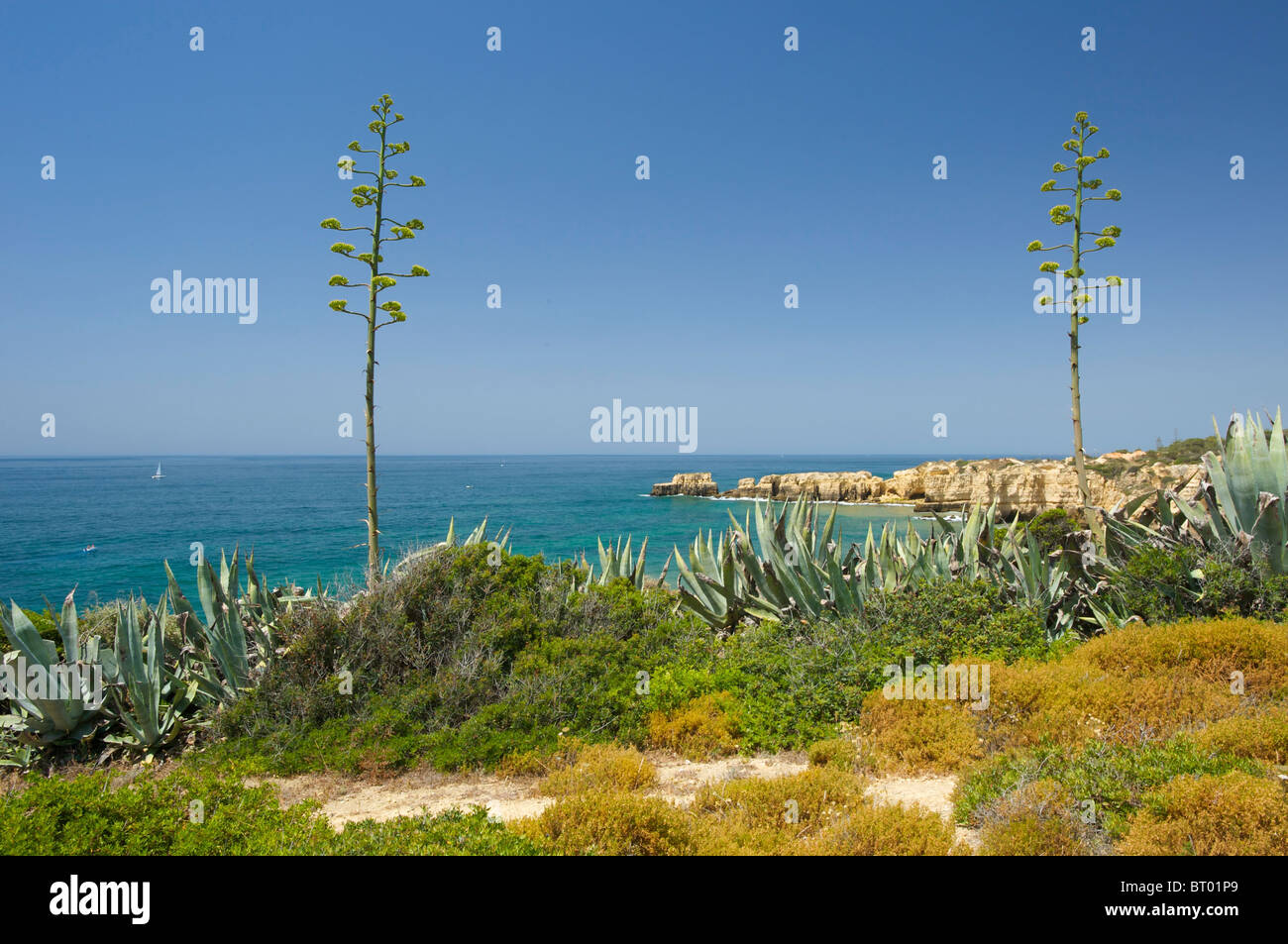 Praia da Coelha, Algarve, Portugal Banque D'Images