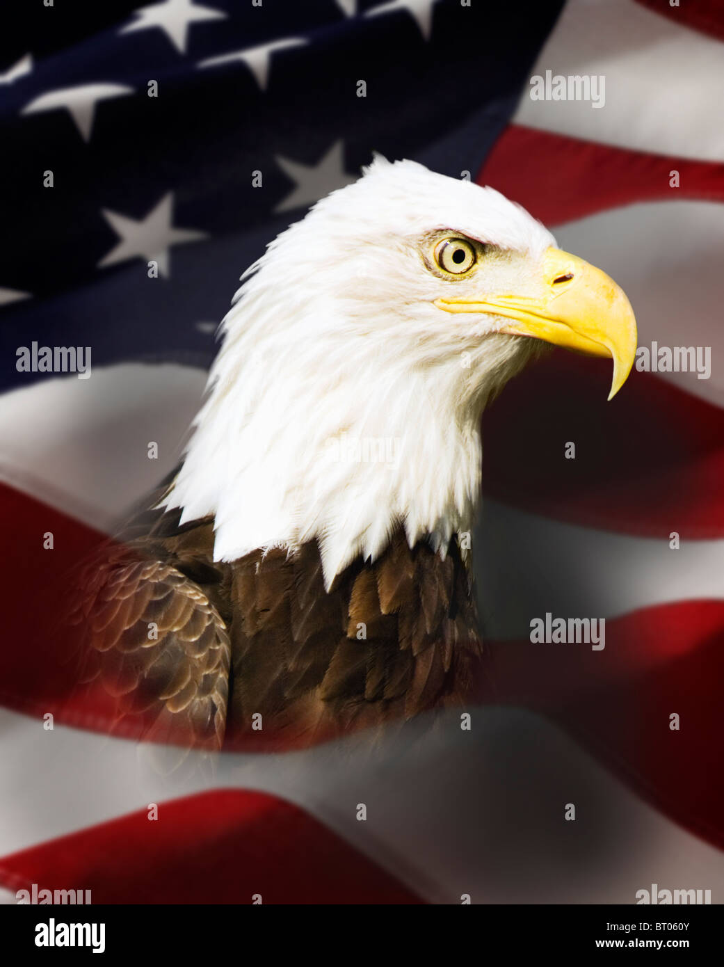 Plaque rétro en métal avec drapeau américain et aigle chauve 20,3 x 30,5 cm 