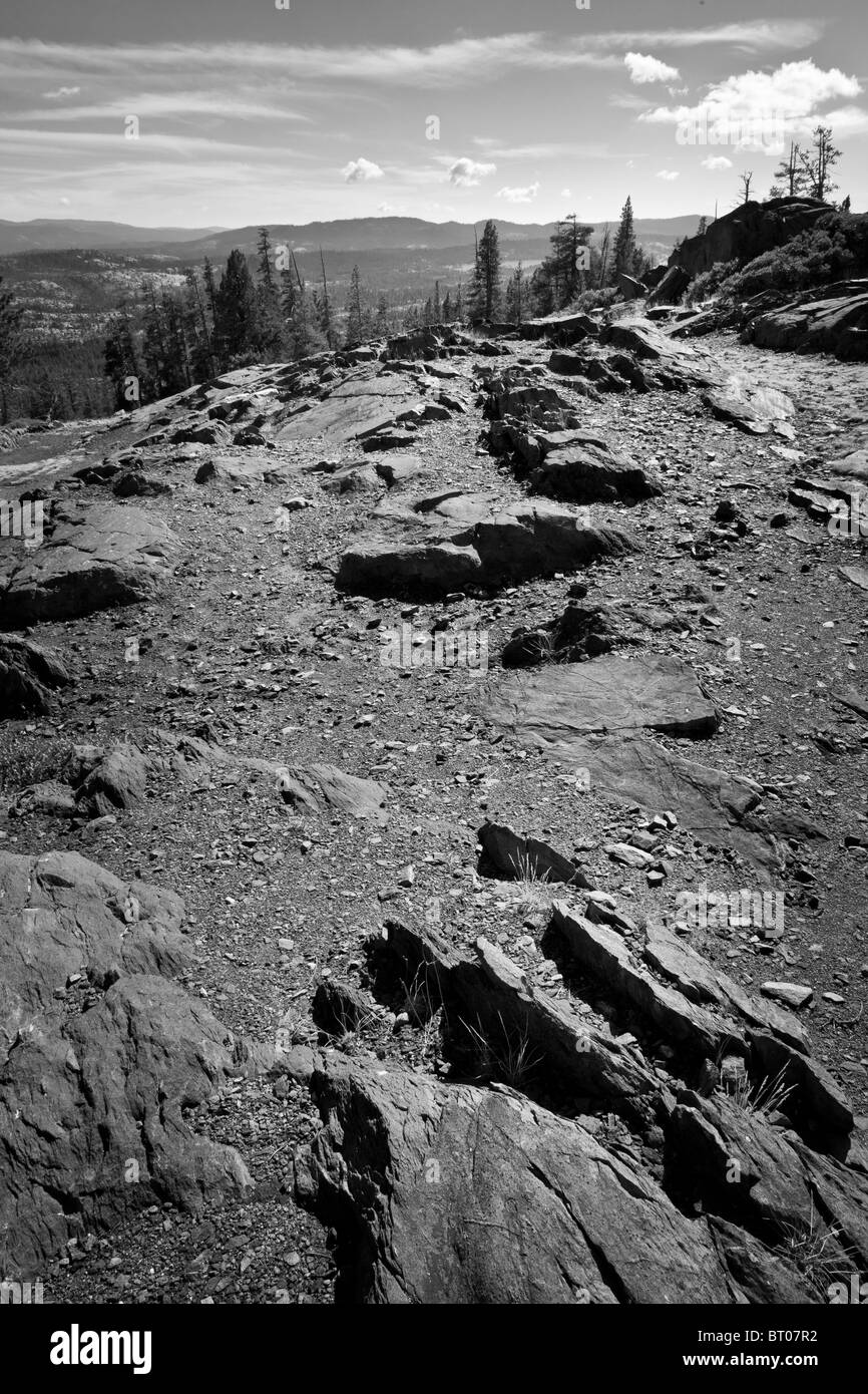 Un dôme de roche qui a été poli par l'action des glaciers dans les montagnes de la Sierra Nevada à environ 7000 pieds de l'altitude Banque D'Images