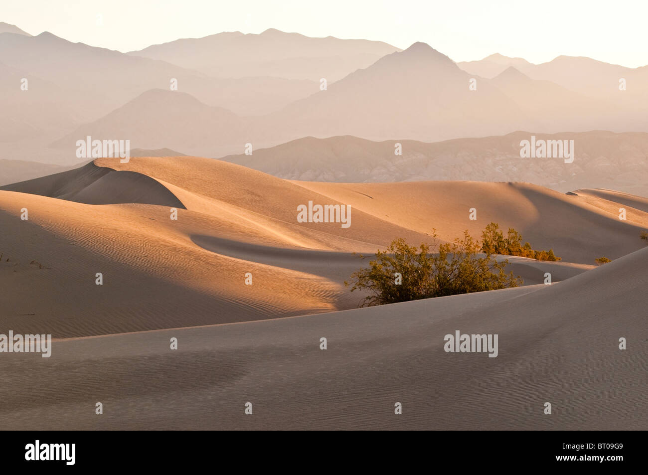 Lumière du matin au Mesquite Sand Dunes, Death Valley National Park, California, USA Banque D'Images