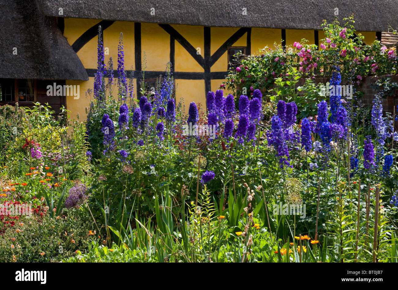 Chalet jardin d'été herbacées boarder avec de vieux anglais la moitié maison en bois en arrière-plan Banque D'Images