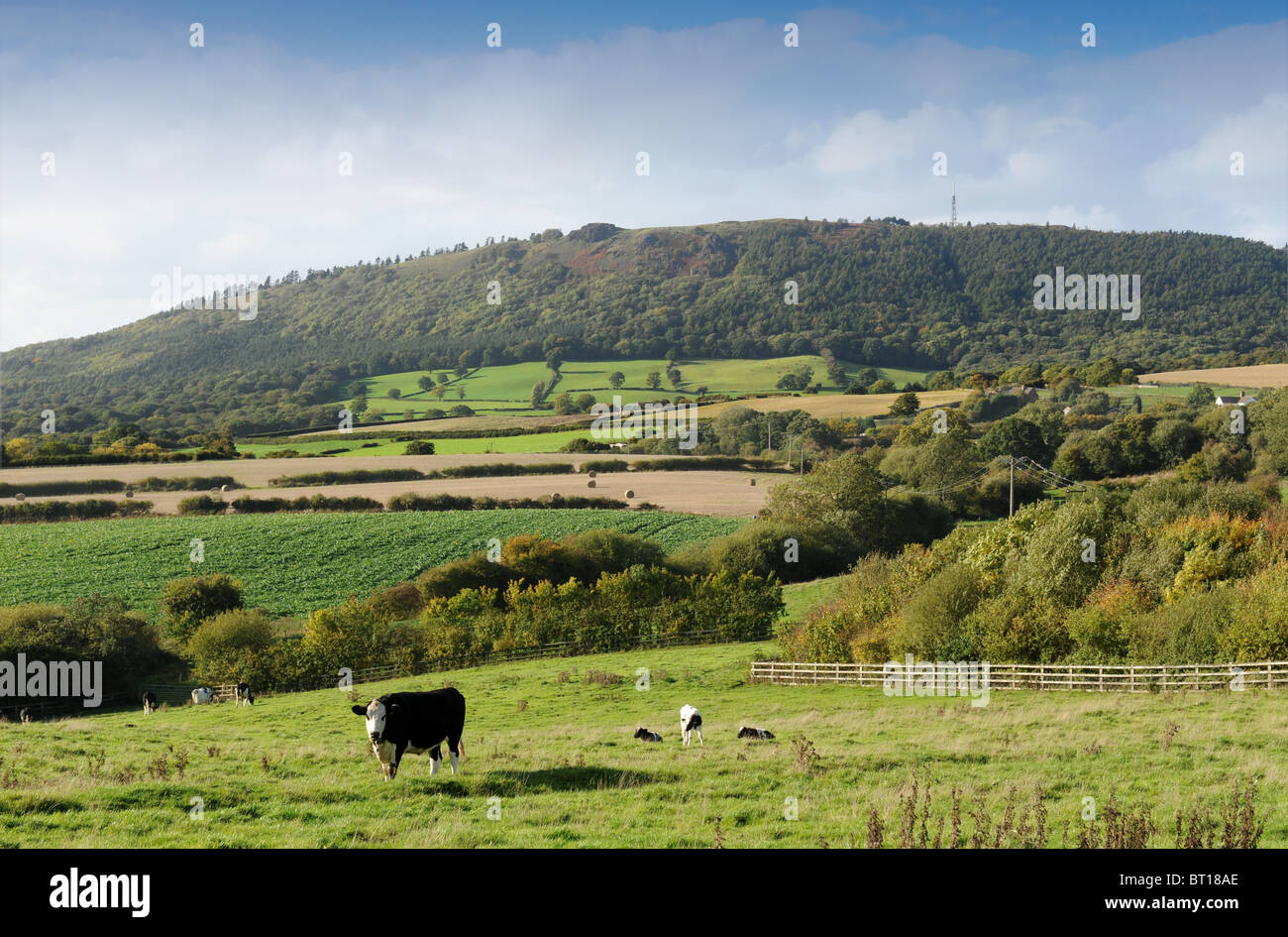 La colline Wrekin dans Shropshire England Uk Banque D'Images