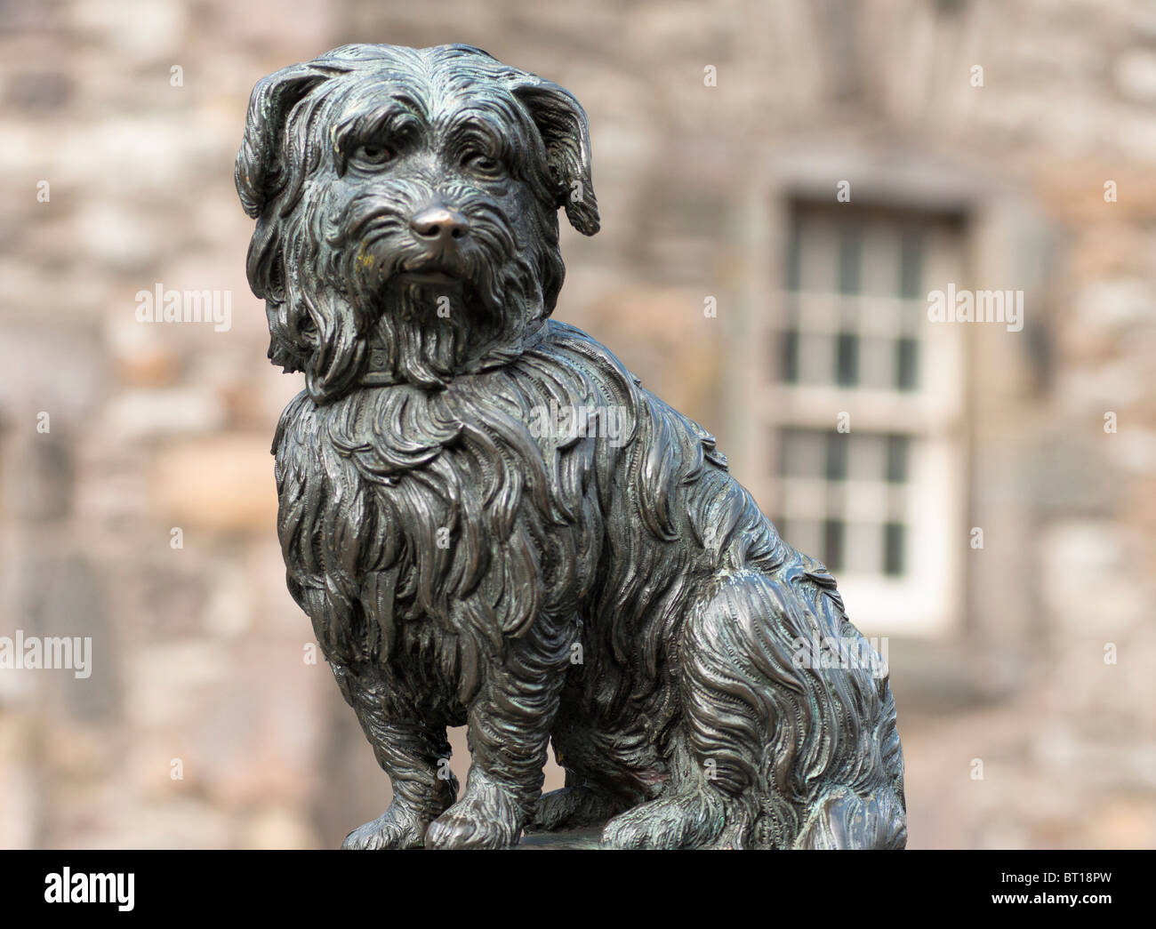 Célèbre statue de frères gris Bobby le chien à Édimbourg, Royaume-Uni 2010 Banque D'Images